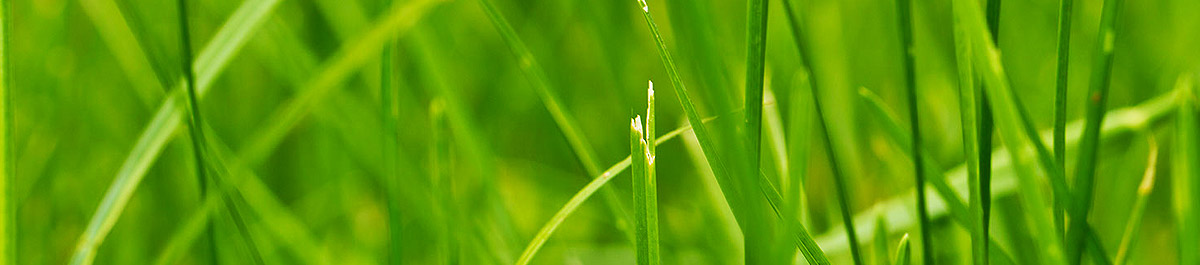 稳定出货渠道的DDOS攻击器